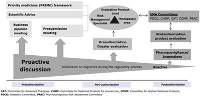 Contribution of patient registries to regulatory decision making on rare diseases medicinal products in Europe